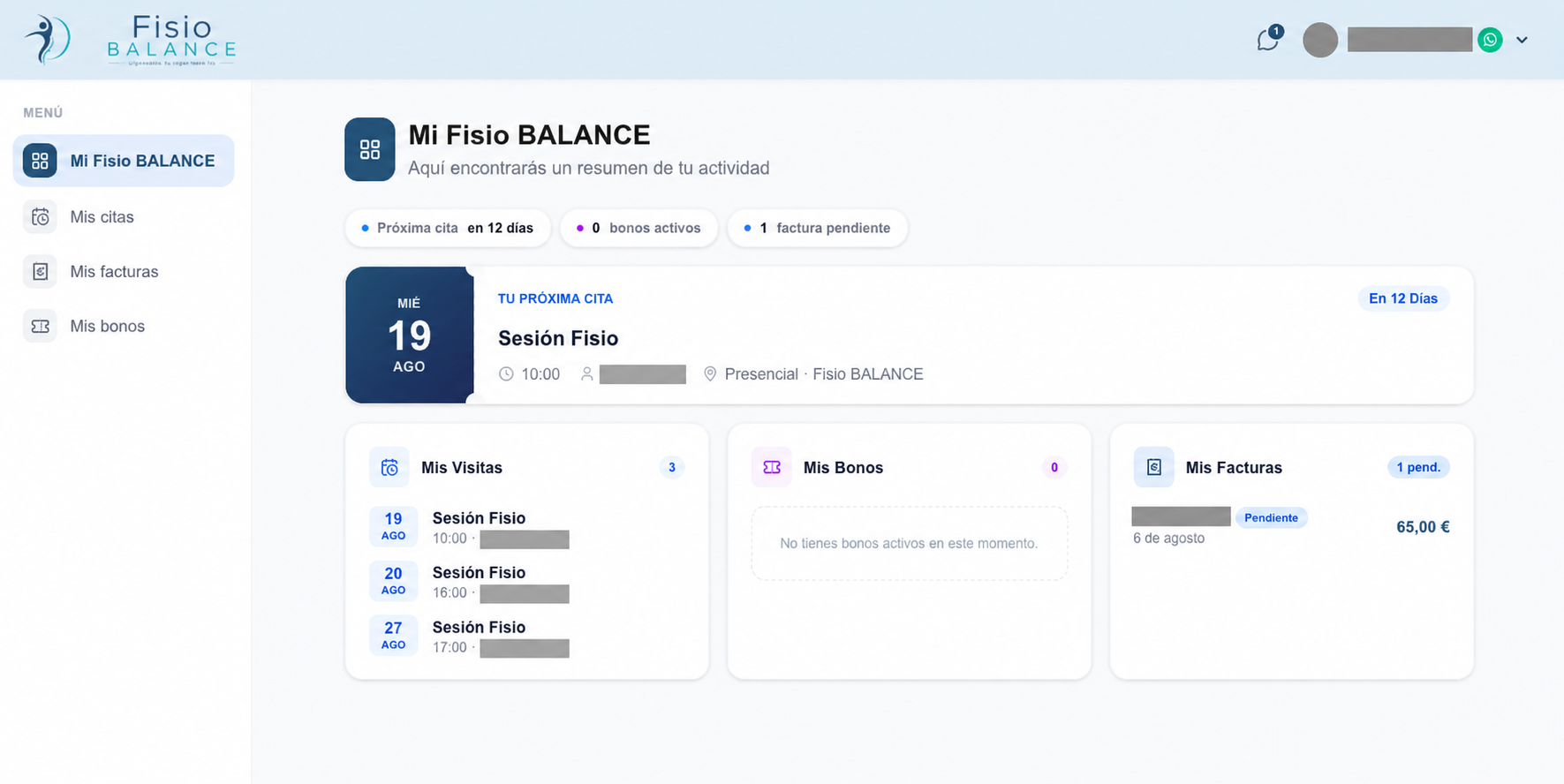 Portal privado de la base SIKIO CORE con citas y facturas; datos identificativos ocultos.